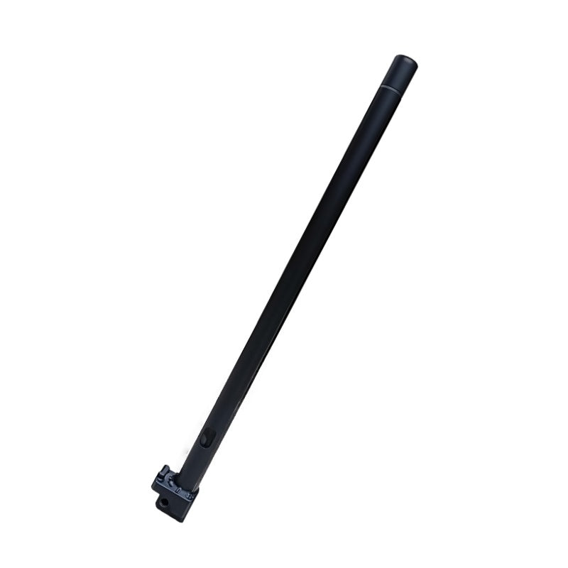 Mástil para Ecoxtrem