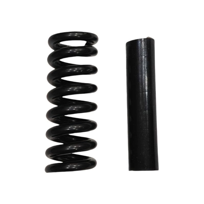 Suspension dualtron mini